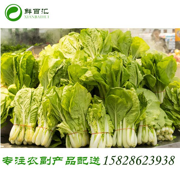 高新區蔬菜配送