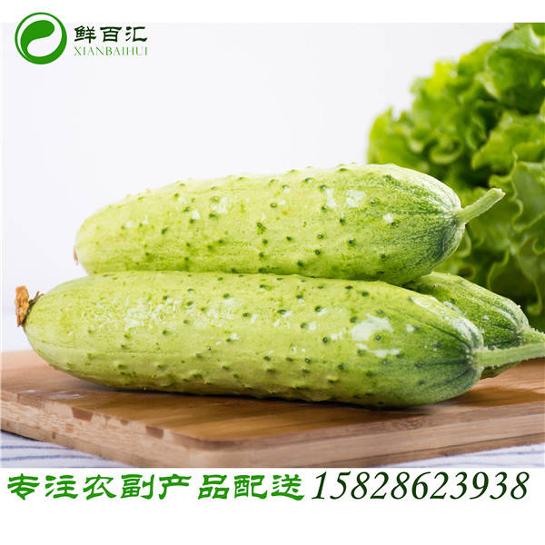 本地黃瓜