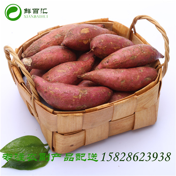 紅薯