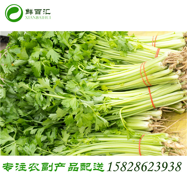 金牛區蔬菜配送