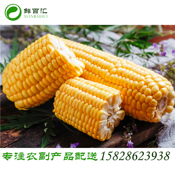 成都食材蔬菜配送