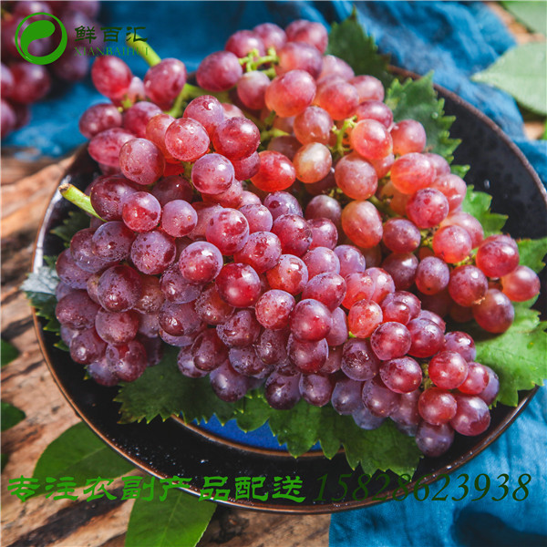 成都蔬菜水果配送公司