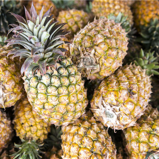 成都專業蔬菜配送公司