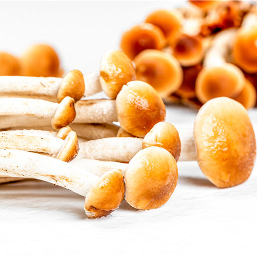 二仙橋蔬菜配送