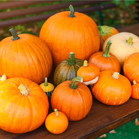 各類南瓜